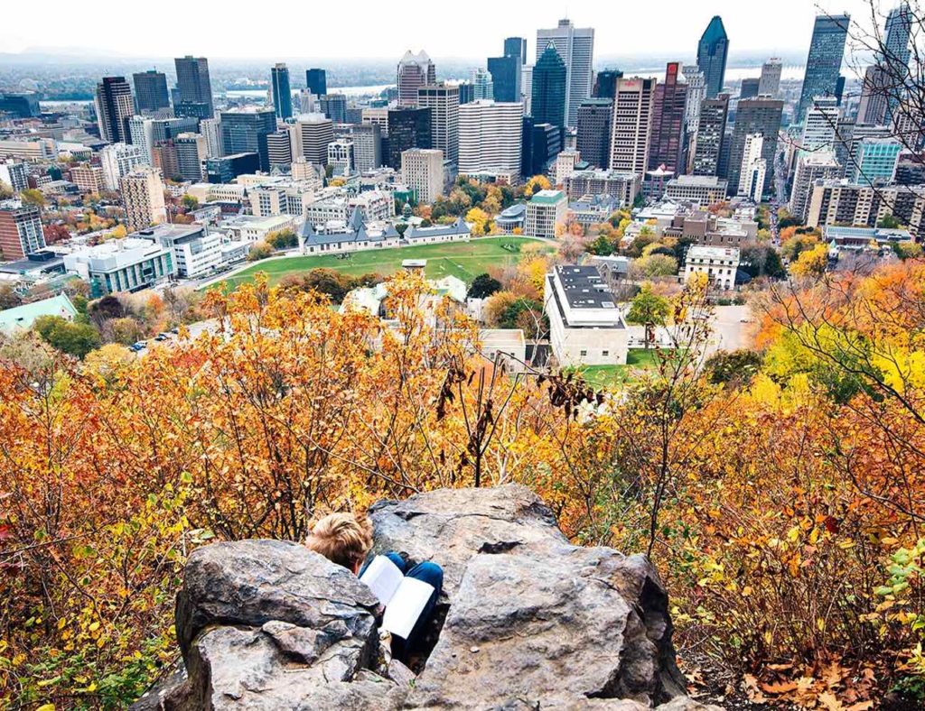 Visiter Montréal, le parc du Mont royal